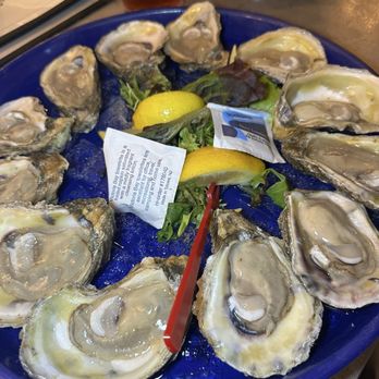Wolf Bay at Orange Beach - Raw oysters - Seafood Near Me - Orange Beach, Alabama