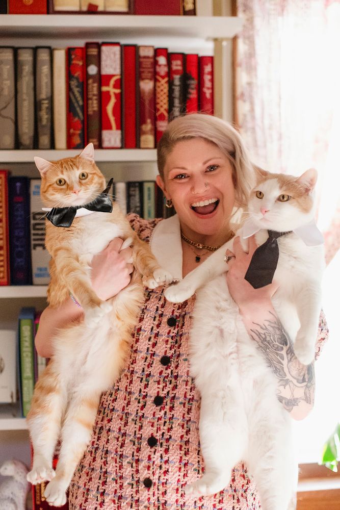 Clever Cat Counseling - grief counselor in Mankato, MN