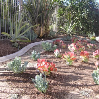Xeristyle Exterior Design - Landscaping Near Me Xeristyle Exterior Design - Landscaping Near Me