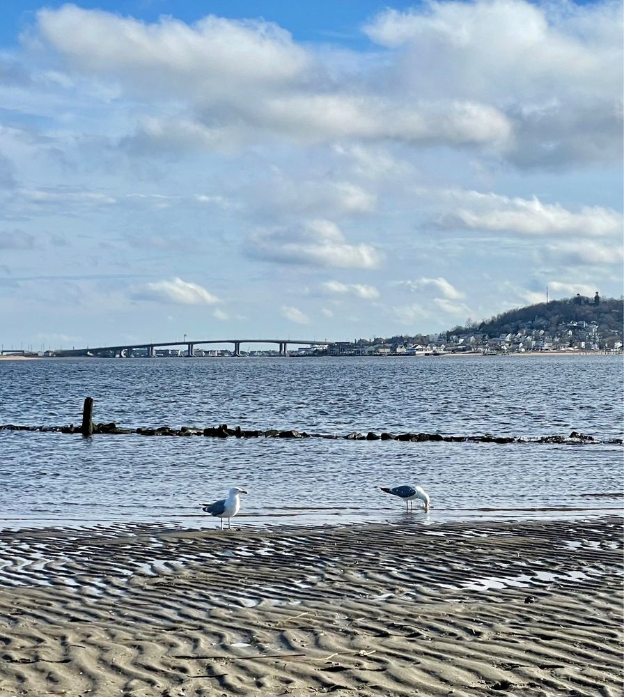 SANDY HOOK BEACH 212 Photos & 84 Reviews Beaches 100 Hartshorne