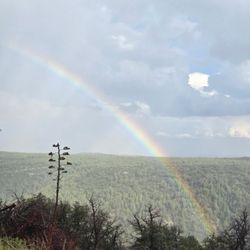 Lynx Lake Cafe - Gods promises!