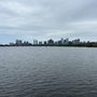Photo of The Harvard Bridge