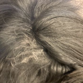 Pawtown Oasis - Matted undercoat - Pet Training Near Me - Clearfield, Utah