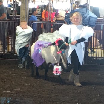 Randolph Fair - Lamb costume contest - Festivals Near Me - Atwater, Ohio