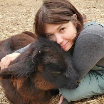 Goat Yoga Bham - cow cuddles!!! - Yoga Near Me - Helena, Alabama Goat Yoga Bham - cow cuddles!!! - Yoga Near Me - Helena, Alabama