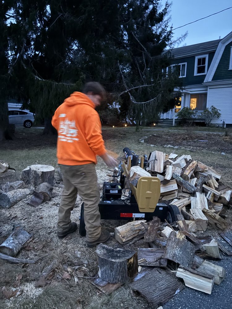 Searsport Small Tree Care - tree service in Searsport, ME