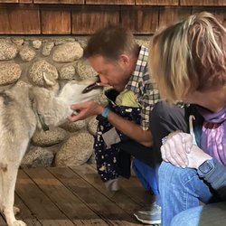 Golden Pine Gallery - Free kisses by Luna.