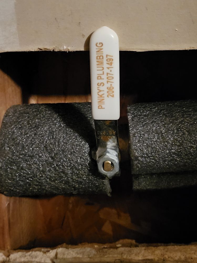 Slide of Pinky's Plumbing