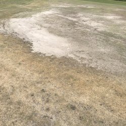 Golf Club At Olde Oaks - One of the 9 greens we saw in this shape.