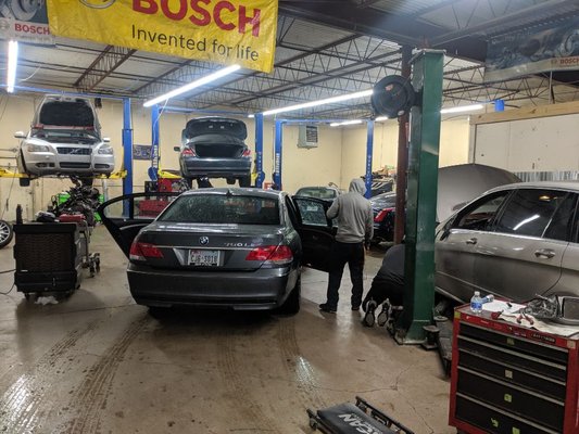 European Auto Care - Lewisville 121