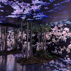 2025 The Forest Within at Genesis House 6/2025