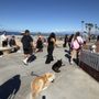 Photo of EasyDay K9 Academy