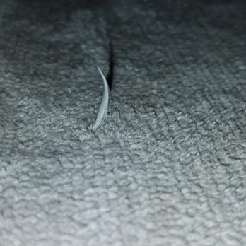 Living Spaces - All these feathers were poking out with the sharp pointy end.  This is just one days worth... repeat every day. - Furniture Stores Near Me - Irvine, California