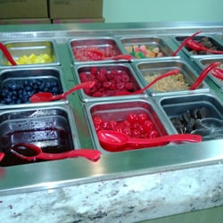 Froyo Earth - Lots of great fruit topping choices