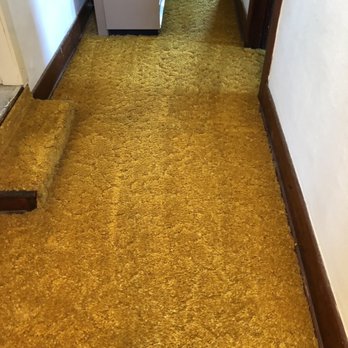 Elite Carpet Care - Vintage shag - Carpet Cleaning Near Me Elite Carpet Care - Vintage shag - Carpet Cleaning Near Me