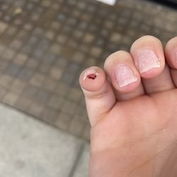 Anthony Vince Nail Spa