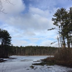 Sheepfold Dog Park - Magical view off one of the trails near the dog park