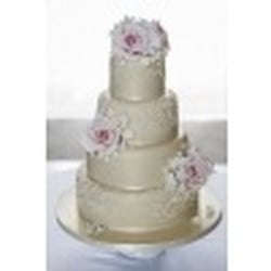 The Pretty Cake Company
