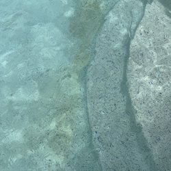 Seminole Pool Supply