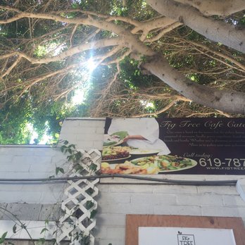 Fig Tree Cafe - When was the last time you sat under a tree with the wind and sun in your hair?! Great outdoor seating! - Sandwiches Near Me - Pacific Beach, California
