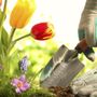 Photo of Alvarado Lawn Service