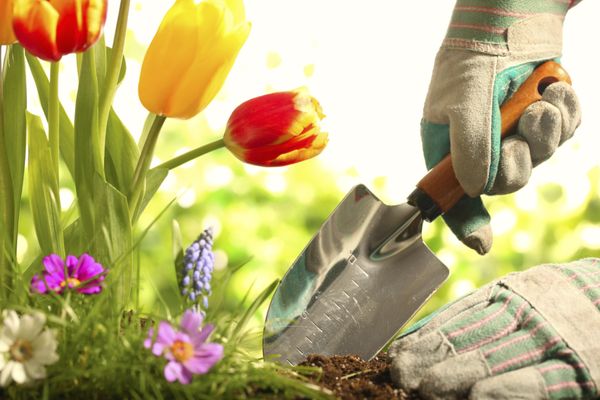 Alvarado Lawn Service