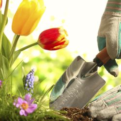 Alvarado Lawn Service
