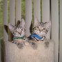 Photo of Pet Watchers Northwest, LLC