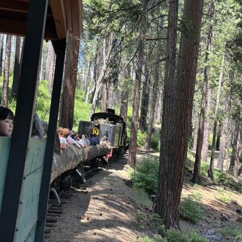 Yosemite Mountain Sugar Pine Railroad - Tours Near Me - Fish Camp, California