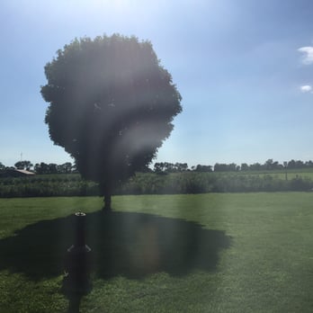 McIntyre's Winery & Berries - The view of the orchard - Wineries Near Me - Bardstown, Kentucky McIntyre's Winery & Berries - The view of the orchard - Wineries Near Me - Bardstown, Kentucky