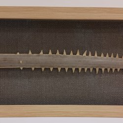 Island Framers and Gallery