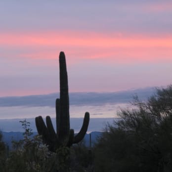 Cat Mountain Lodge & Roadside Inn - Photo taken outside our room - Bed & Breakfast Near Me - Tucson, Arizona Cat Mountain Lodge & Roadside Inn - Photo taken outside our room - Bed & Breakfast Near Me - Tucson, Arizona