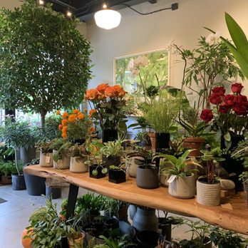 Kunst Coffee Haus - Coffee & Tea Near Me - Bayside, New York