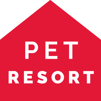 Firehouse Pet Resort - Kyle - Pet Sitting Near Me - Kyle, Texas