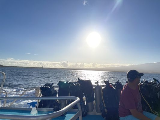 Maui Dreams Dive Co by null