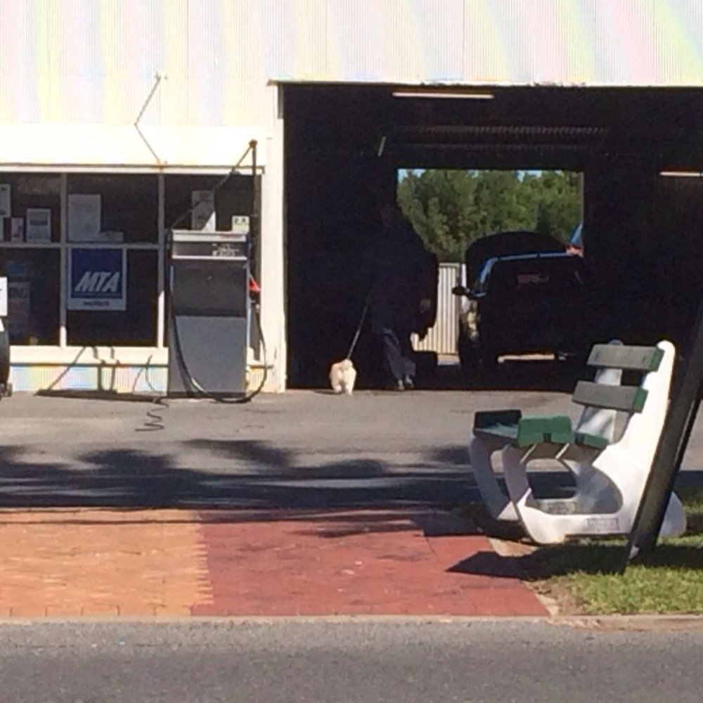 Ardrossan Bakery - A man and dog enter Ardrossan Motor Repairs across the road. Typical of the non-stop action in this important regional centre. - Bakeries Near Me - Ardrossan, SA