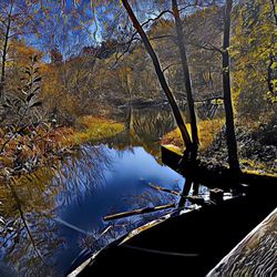 Tilden Nature Area - Jewel Lake