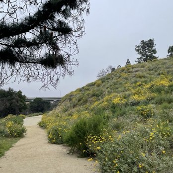 Limekiln Canyon Trail - Hiking Near Me - Northridge, California Limekiln Canyon Trail - Hiking Near Me - Northridge, California