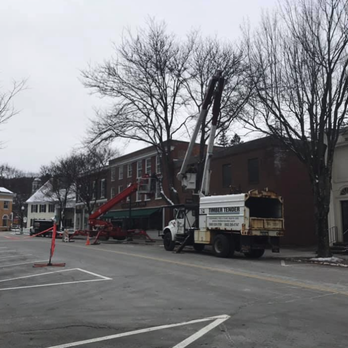Timber Tender - Tree Pruning - Landscaping Near Me