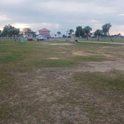 St Joe Beach Dog Park - Far in looking back