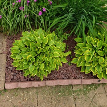 Krantz Cleaning - Expert Landscaping - Home Cleaning Near Me Krantz Cleaning - Expert Landscaping - Home Cleaning Near Me