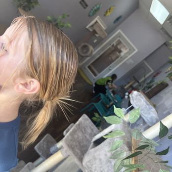 Frabjous Catfe - Inside room - Themed Cafes Near Me - Wake Forest, North Carolina