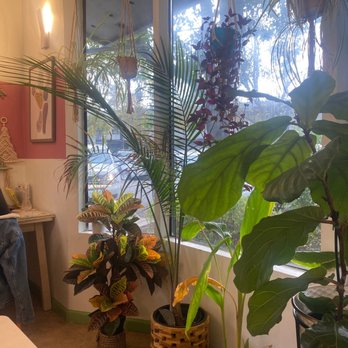 Three Ladies Cafe - Study room - Juice Bars & Smoothies Near Me - Davis, California