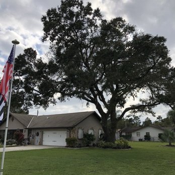 J & L Tree Service - Before and after - Tree Services Near Me - Sebring, Florida