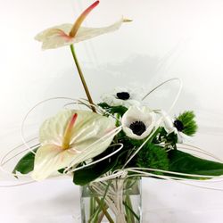Miss Scarlett's Flowers - Anthurium, Anemones and Midollino in clear rectangle vase