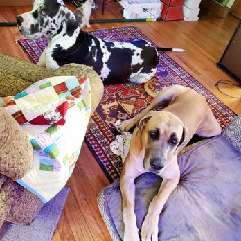 The Woofhaus - Pet Groomers Near Me - Denver, Colorado