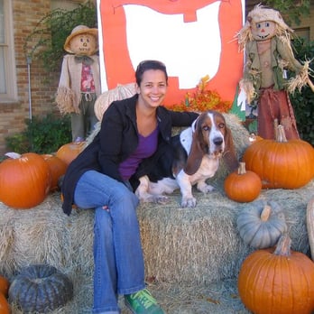 Austin Paw Patrol - Rebel and his mom, Brandy at the pumpkin patch. - Dog Walkers Near Me - Austin, Texas Austin Paw Patrol - Rebel and his mom, Brandy at the pumpkin patch. - Dog Walkers Near Me - Austin, Texas