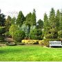 Photo of Stafford Tree Service & Stump Grinding