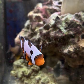 That Fish Place - That Pet Place - Local Fish Stores Near Me - Lancaster, Pennsylvania
