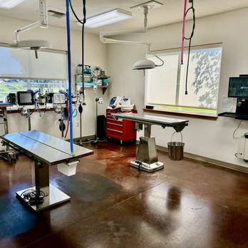 VCA River City Animal Hospital - Veterinarians Near Me - Post Falls, Idaho VCA River City Animal Hospital - Veterinarians Near Me - Post Falls, Idaho